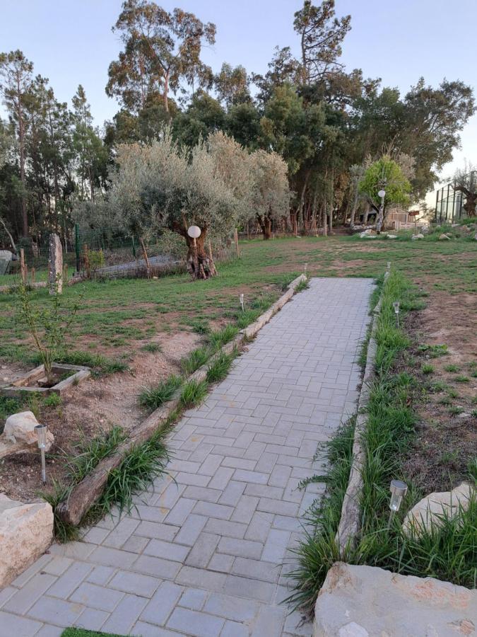 Poco E Meio - Padel & Pool Santiago da Guarda المظهر الخارجي الصورة